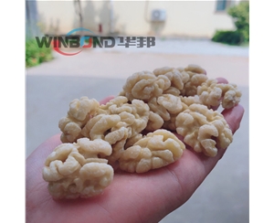 華邦升級核桃仁去皮機(jī) 全套核桃深加工設(shè)備