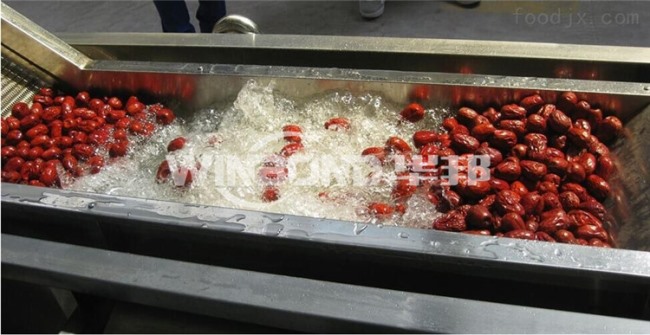 和田大棗清洗機 華邦機械 供應紅棗清洗設(shè)備