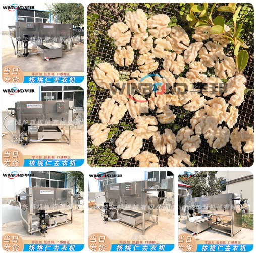 現(xiàn)貨直發(fā)核桃仁去衣機(jī) 全自動 去衣機(jī)設(shè)備