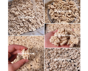 經濟型核桃仁脫皮機 核桃仁脫衣設備 長期供應